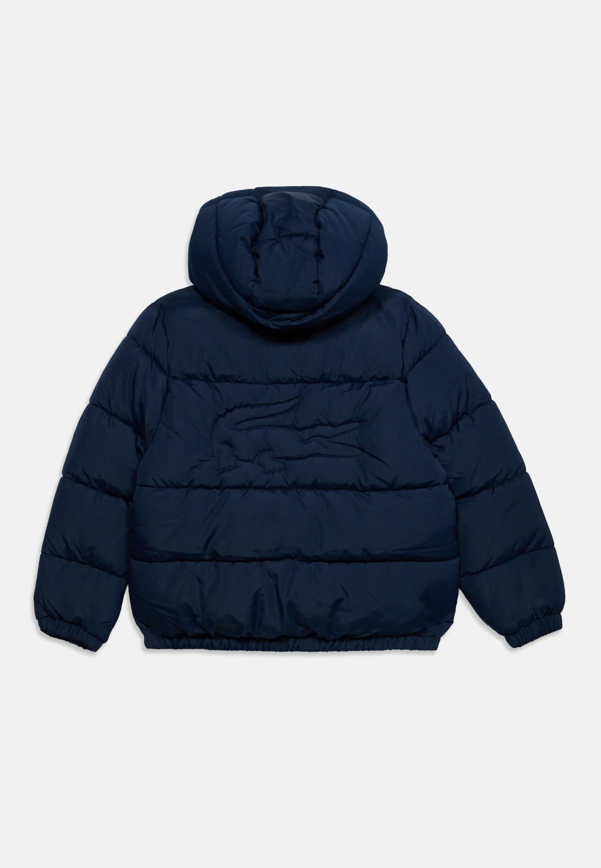 lacoste - bomber bimbo