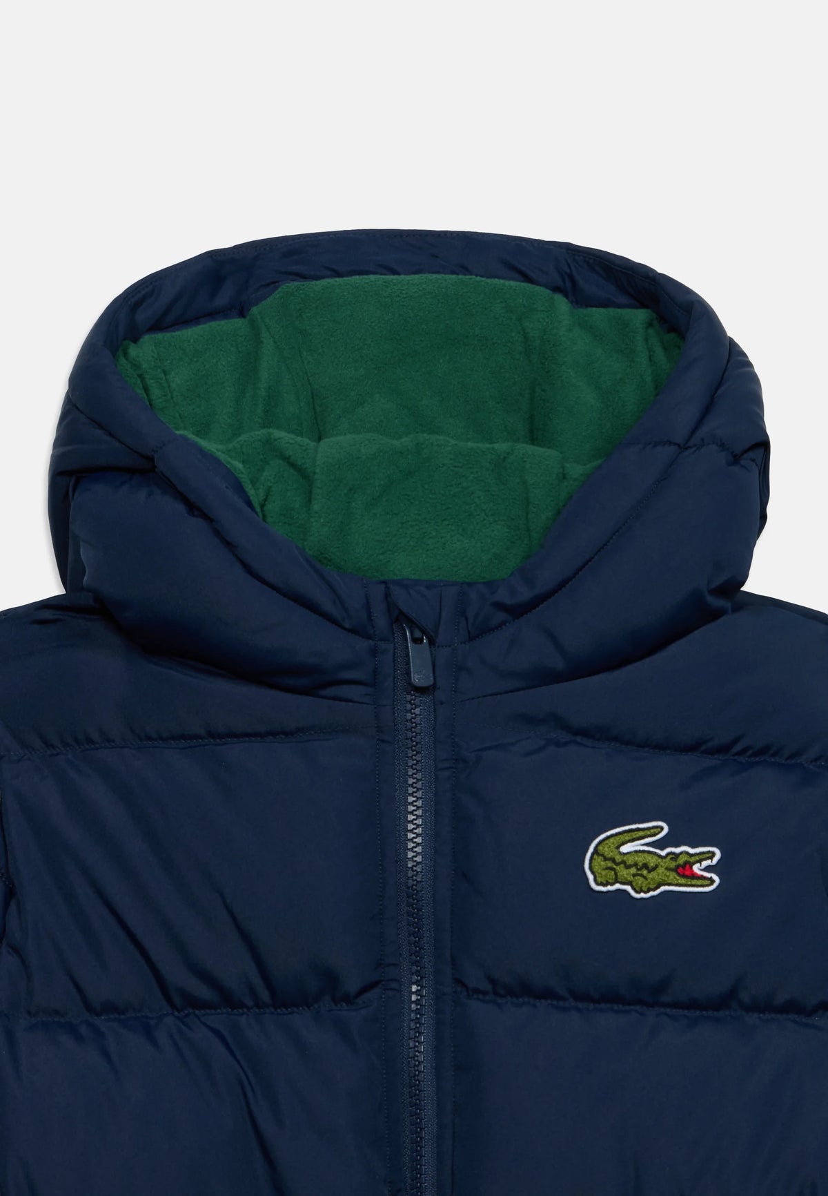 lacoste - bomber bimbo